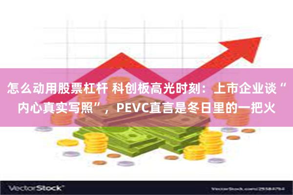 怎么动用股票杠杆 科创板高光时刻：上市企业谈“内心真实写照”，PEVC直言是冬日里的一把火