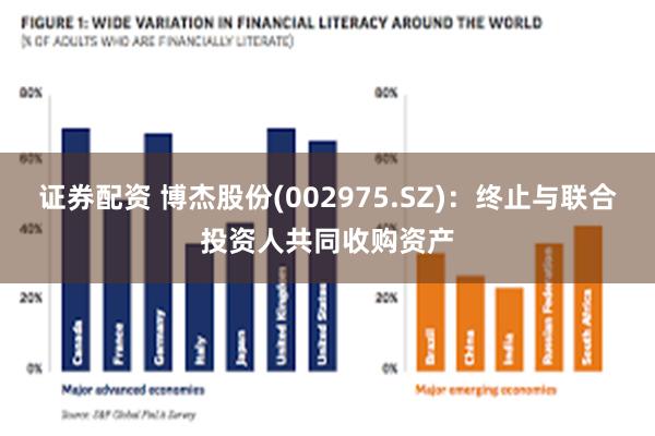 证券配资 博杰股份(002975.SZ)：终止与联合投资人共同收购资产