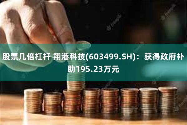 股票几倍杠杆 翔港科技(603499.SH)：获得政府补助195.23万元