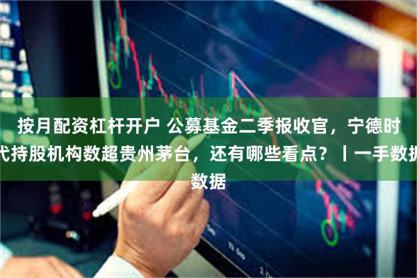 按月配资杠杆开户 公募基金二季报收官，宁德时代持股机构数超贵州茅台，还有哪些看点？丨一手数据