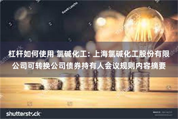 杠杆如何使用 氯碱化工: 上海氯碱化工股份有限公司可转换公司债券持有人会议规则内容摘要