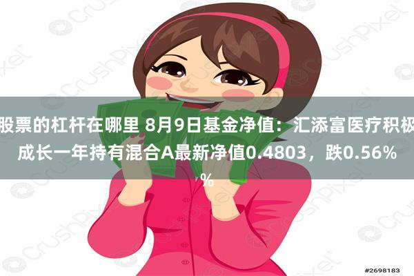 股票的杠杆在哪里 8月9日基金净值：汇添富医疗积极成长一年持有混合A最新净值0.4803，跌0.56%