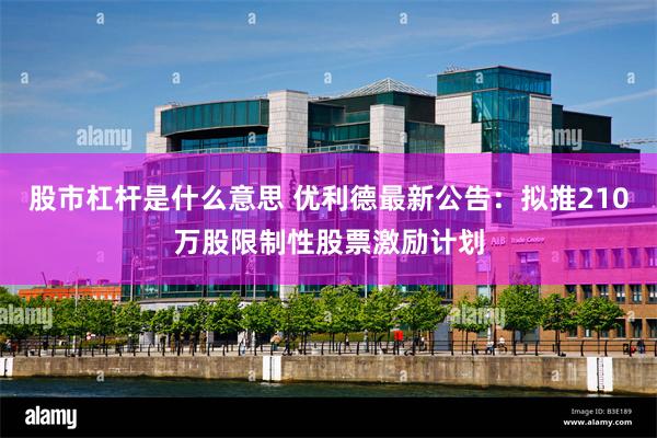 股市杠杆是什么意思 优利德最新公告：拟推210万股限制性股票激励计划