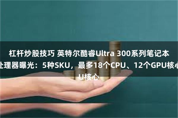 杠杆炒股技巧 英特尔酷睿Ultra 300系列笔记本处理器曝光：5种SKU，最多18个CPU、12个GPU核心