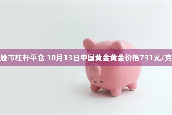 股市杠杆平仓 10月13日中国黄金黄金价格731元/克