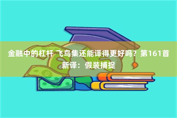 金融中的杠杆 飞鸟集还能译得更好吗？第161首新译：假装捕捉