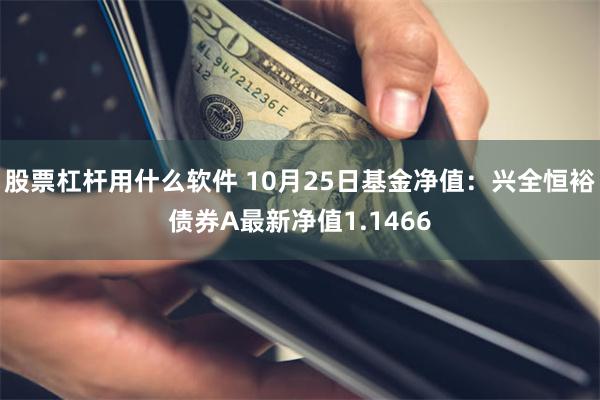 股票杠杆用什么软件 10月25日基金净值：兴全恒裕债券A最新净值1.1466