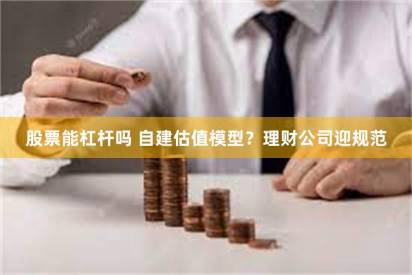 股票能杠杆吗 自建估值模型？理财公司迎规范