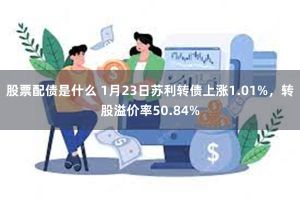 股票配债是什么 1月23日苏利转债上涨1.01%，转股溢价率50.84%